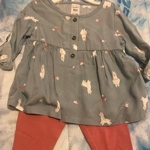 Fuchsia and Grayish Lama 2-piece Set